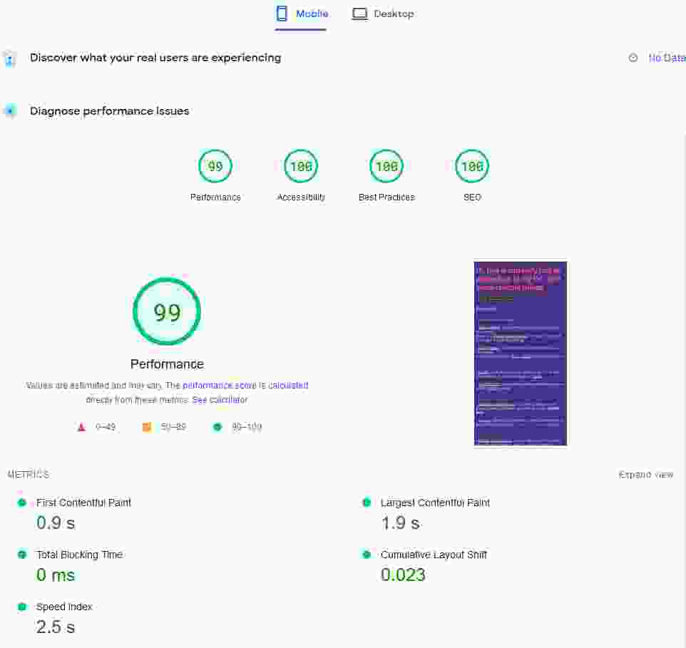 Screenshot of 99% PageSpeed Insights rating, with intentionally high JPG artifacting